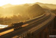 金色大道 金色大道